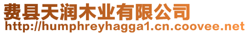 費(fèi)縣天潤木業(yè)有限公司