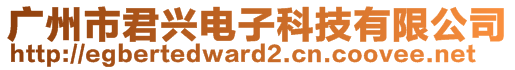 广州市君兴电子科技有限公司