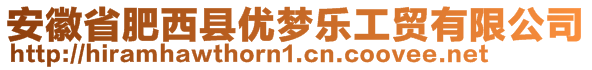 安徽省肥西縣優夢樂工貿有限公司