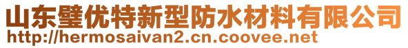 山東璧優(yōu)特新型防水材料有限公司