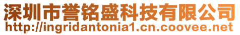 深圳市誉铭盛科技有限公司