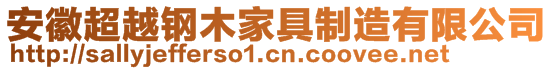 安徽超越鋼木家具制造有限公司