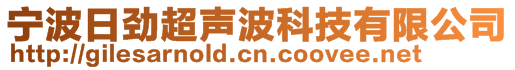 宁波日劲超声波科技有限公司