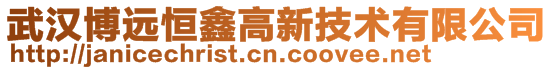 武漢博遠(yuǎn)恒鑫高新技術(shù)有限公司