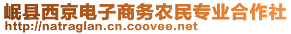 岷縣西京電子商務(wù)農(nóng)民專業(yè)合作社