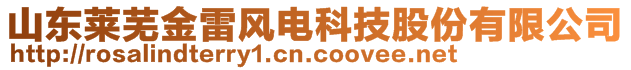 山東萊蕪金雷風電科技股份有限公司