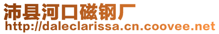 沛縣河口磁鋼廠