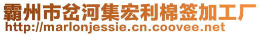 霸州市岔河集宏利棉签加工厂