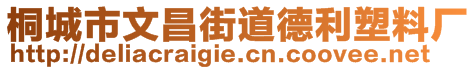 桐城市文昌街道德利塑料廠