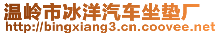 溫嶺市冰洋汽車坐墊廠