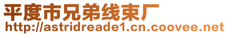 平度市兄弟線束廠