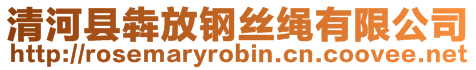 清河縣犇放鋼絲繩有限公司