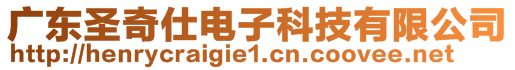 廣東圣奇仕電子科技有限公司