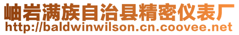 岫巖滿族自治縣精密儀表廠