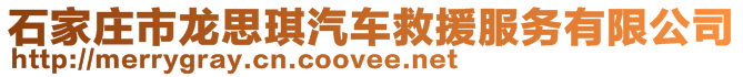 石家庄市龙思琪汽车救援服务有限公司