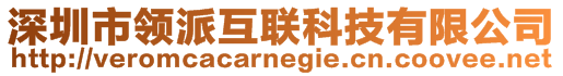 深圳市領派互聯科技有限公司