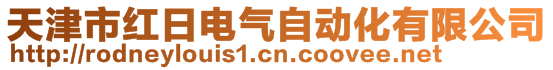 天津市紅日電氣自動化有限公司