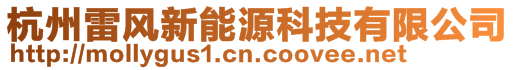 杭州雷風新能源科技有限公司