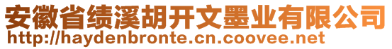 安徽省績溪胡開文墨業(yè)有限公司