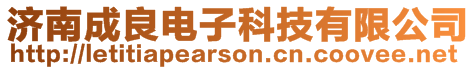 濟南成良電子科技有限公司