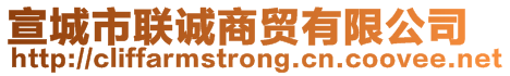 宣城市聯(lián)誠商貿(mào)有限公司