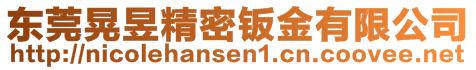 東莞晃昱精密鈑金有限公司