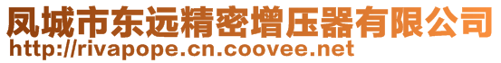 鳳城市東遠精密增壓器有限公司