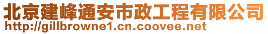 北京建峰通安市政工程有限公司