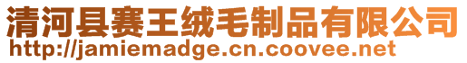 清河縣賽王絨毛制品有限公司