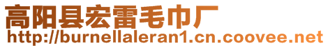 高陽縣宏雷毛巾廠