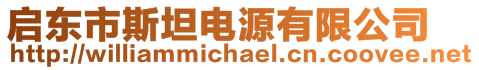 啟東市斯坦電源有限公司