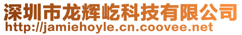 深圳市龍輝屹科技有限公司