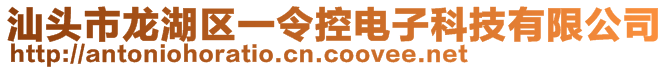 汕頭市龍湖區(qū)一令控電子科技有限公司