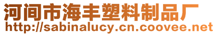 河間市海豐塑料制品廠