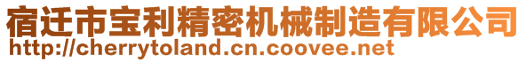 宿遷市寶利精密機械制造有限公司