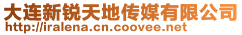 大連新銳天地傳媒有限公司