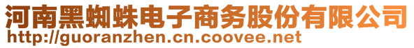 河南黑蜘蛛電子商務(wù)股份有限公司