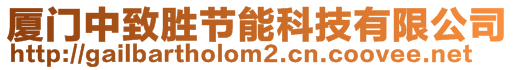 廈門(mén)中致勝節(jié)能科技有限公司