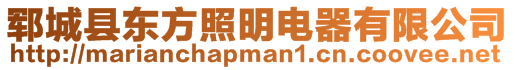 鄆城縣東方照明電器有限公司