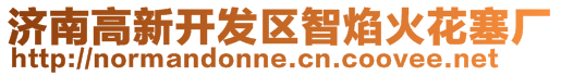 濟(jì)南高新開(kāi)發(fā)區(qū)智焰火花塞廠