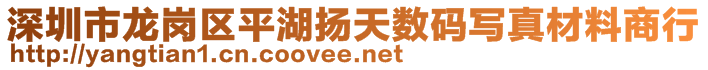 深圳市龍崗區(qū)平湖揚(yáng)天數(shù)碼寫真材料商行