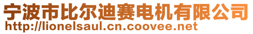 寧波市比爾迪賽電機(jī)有限公司