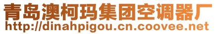 青島澳柯瑪集團空調(diào)器廠