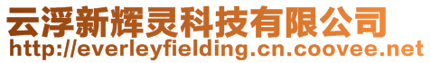 云浮新輝靈科技有限公司