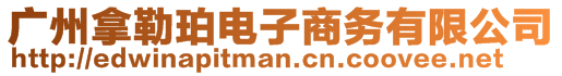 廣州拿勒珀電子商務有限公司
