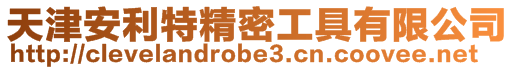 天津安利特精密工具有限公司