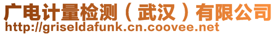 廣電計(jì)量檢測(cè)（武漢）有限公司