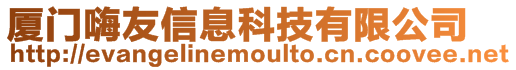 廈門嗨友信息科技有限公司