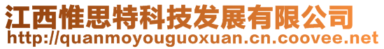 江西惟思特科技发展有限公司