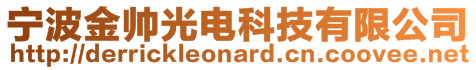 寧波金帥光電科技有限公司